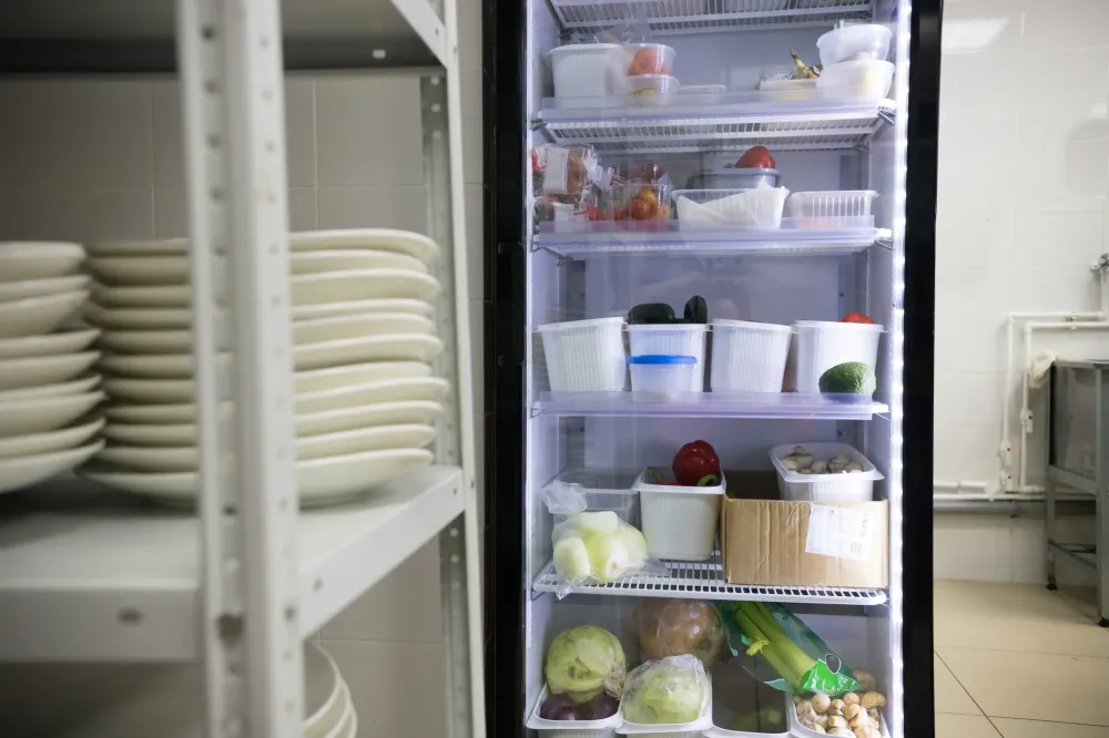frigo (1)